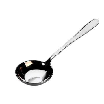 concha-sopa